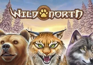 Wild North screenshot